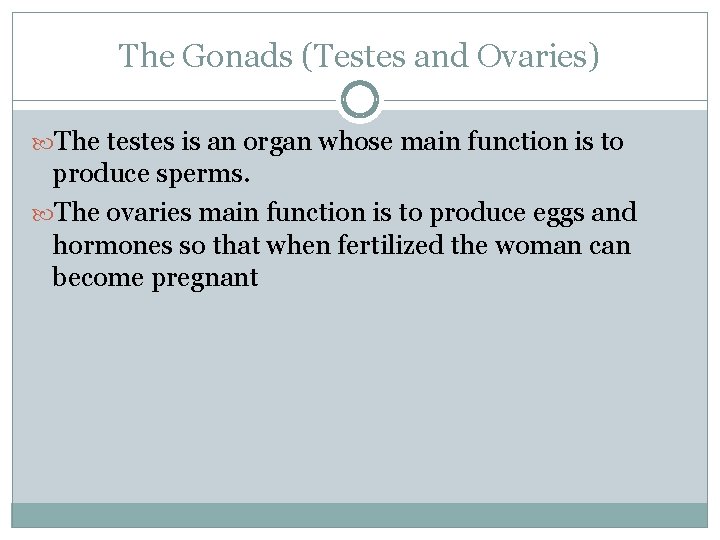 The Gonads (Testes and Ovaries) The testes is an organ whose main function is