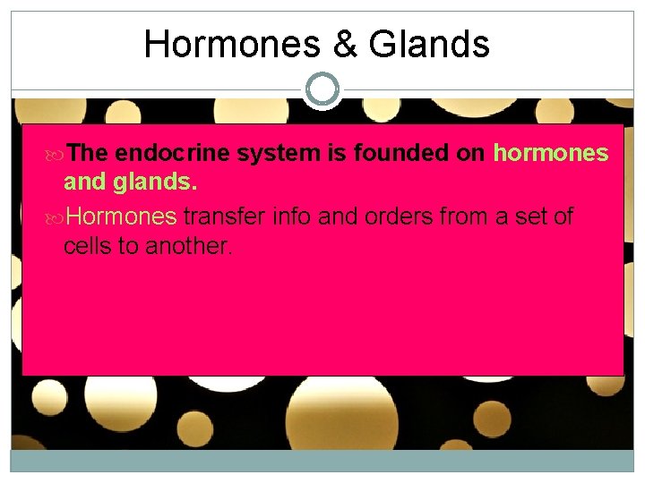 Hormones & Glands The endocrine system is founded on hormones and glands. Hormones transfer