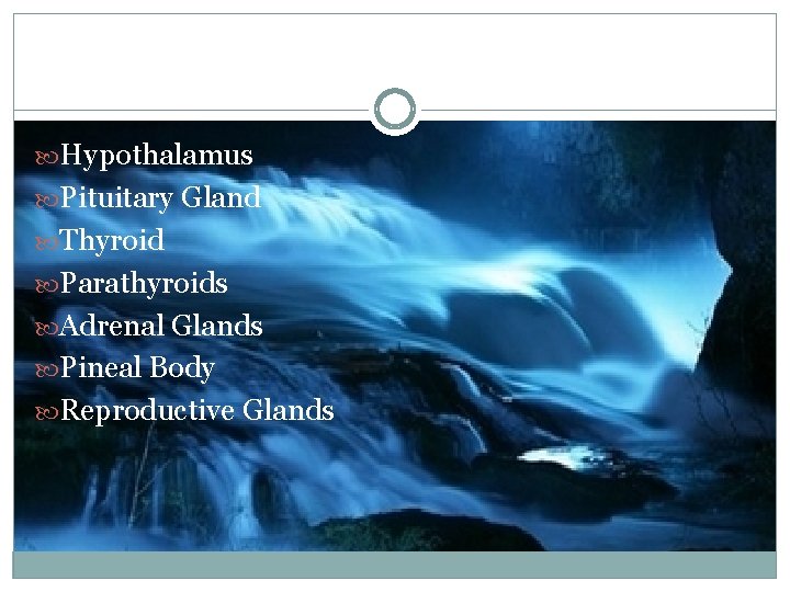 Endocrine System Parts Hypothalamus Pituitary Gland Thyroid Parathyroids Adrenal Glands Pineal Body Reproductive Glands