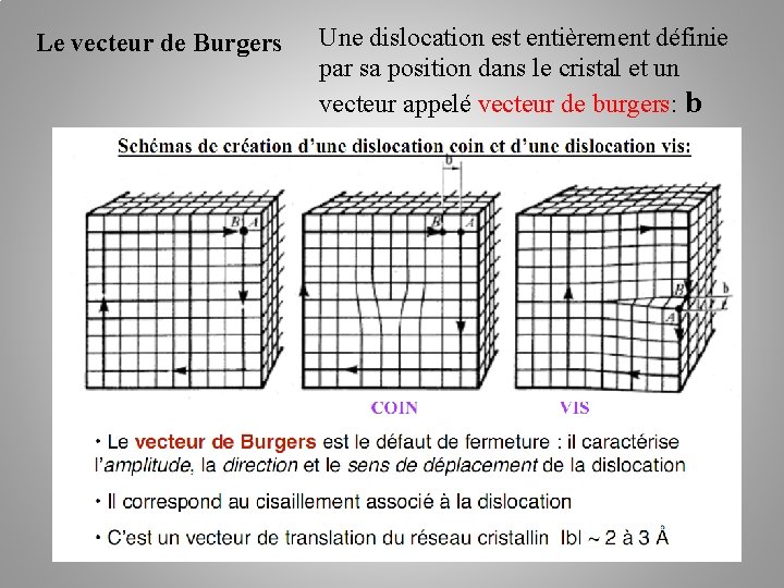 Le vecteur de Burgers Une dislocation est entièrement définie par sa position dans le