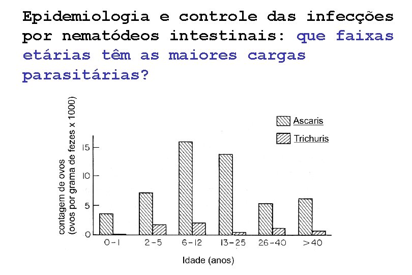 Epidemiologia e controle das infecções por nematódeos intestinais: que faixas etárias têm as maiores