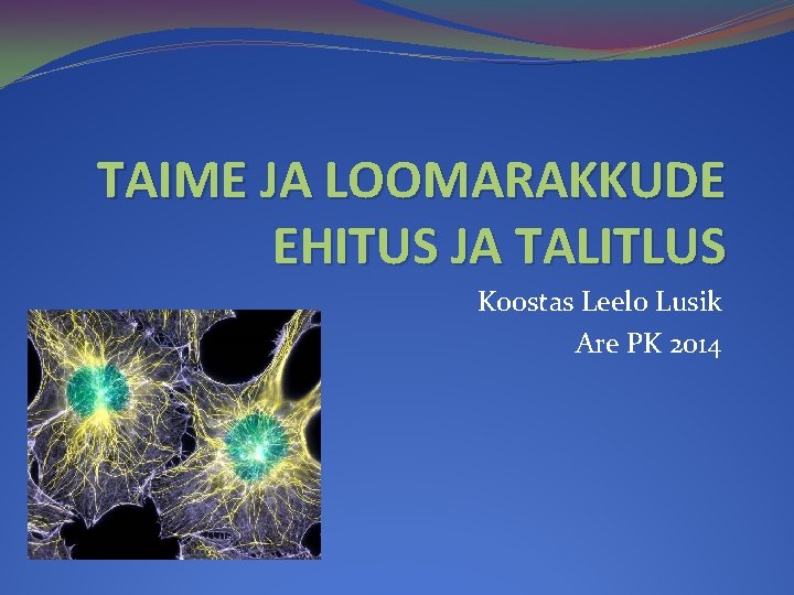 TAIME JA LOOMARAKKUDE EHITUS JA TALITLUS Koostas Leelo Lusik Are PK 2014 