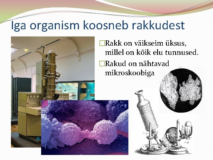 Iga organism koosneb rakkudest �Rakk on väikseim üksus, millel on kõik elu tunnused. �Rakud