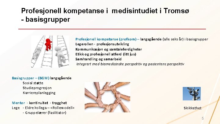 Profesjonell kompetanse i medisintudiet i Tromsø - basisgrupper Profesjonell kompetanse (profkom) – langsgående (alle