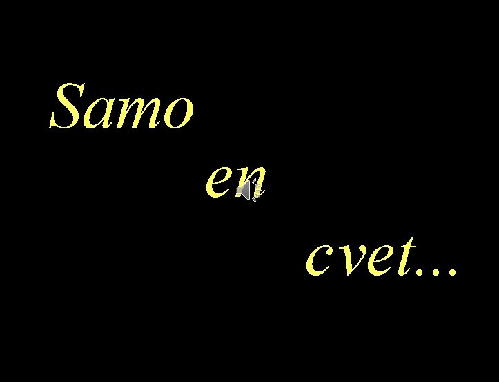 Samo en cvet. . . 