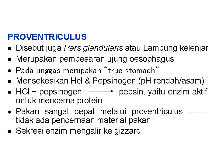 PROVENTRICULUS · Disebut juga Pars glandularis atau Lambung kelenjar · Merupakan pembesaran ujung oesophagus