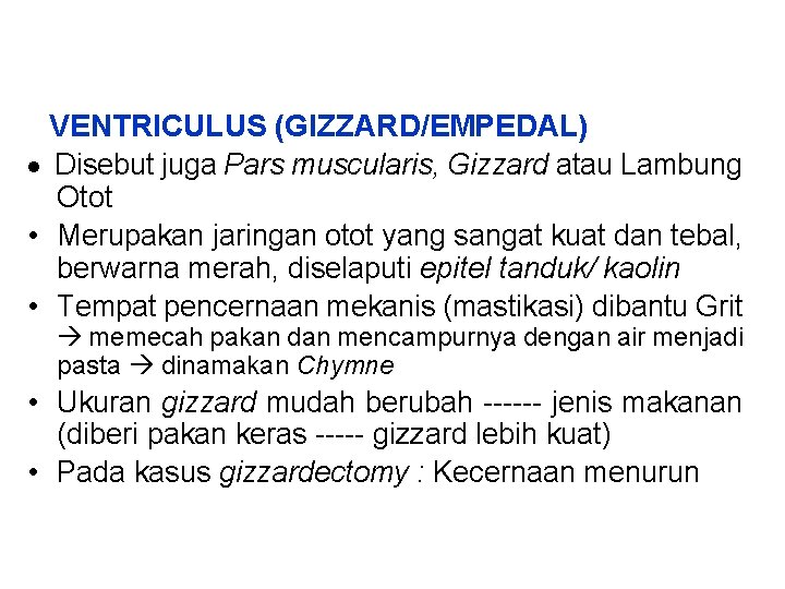  VENTRICULUS (GIZZARD/EMPEDAL) · Disebut juga Pars muscularis, Gizzard atau Lambung Otot • Merupakan