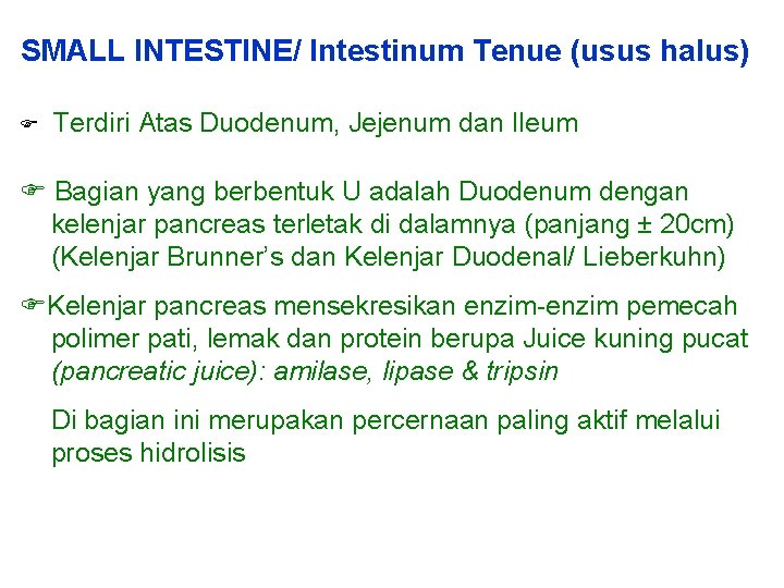 SMALL INTESTINE/ Intestinum Tenue (usus halus) Terdiri Atas Duodenum, Jejenum dan Ileum Bagian yang SMALL INTESTINE/ Intestinum Tenue (usus halus) Terdiri Atas Duodenum, Jejenum dan Ileum Bagian yang