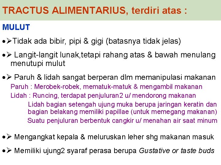 TRACTUS ALIMENTARIUS, terdiri atas : MULUT · Tidak ada bibir, pipi & gigi (batasnya