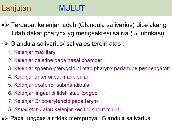 Lanjutan MULUT · Terdapat kelenjar ludah (Glandula salivarius) dibelakang lidah dekat pharynx yg mengsekresi