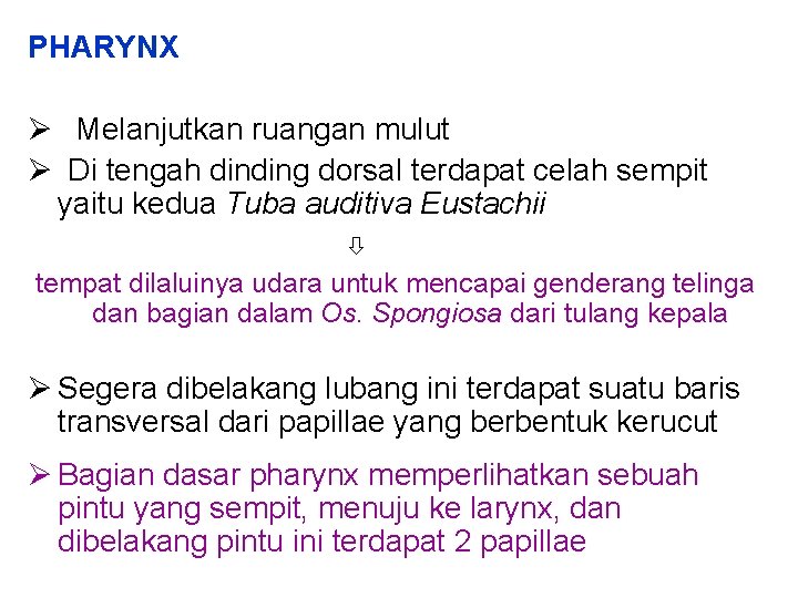 PHARYNX Melanjutkan ruangan mulut Di tengah dinding dorsal terdapat celah sempit yaitu kedua Tuba PHARYNX Melanjutkan ruangan mulut Di tengah dinding dorsal terdapat celah sempit yaitu kedua Tuba