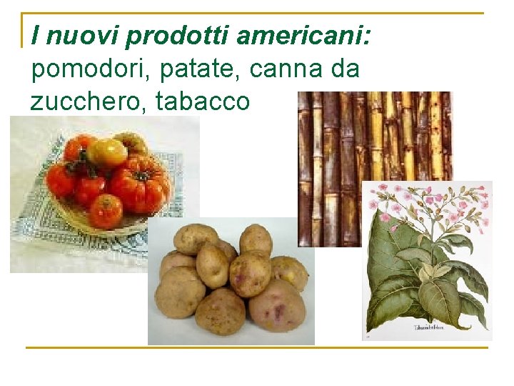 I nuovi prodotti americani: pomodori, patate, canna da zucchero, tabacco I nuovi prodotti americani: pomodori, patate, canna da zucchero, tabacco