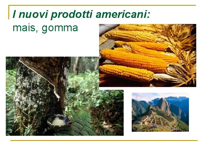 I nuovi prodotti americani: mais, gomma I nuovi prodotti americani: mais, gomma