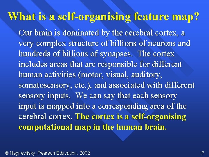 What is a self-organising feature map? Our brain is dominated by the cerebral cortex,