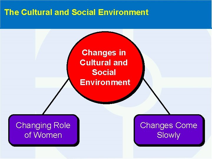 The Cultural and Social Environment Changes in Cultural and Social Environment Changing Role of