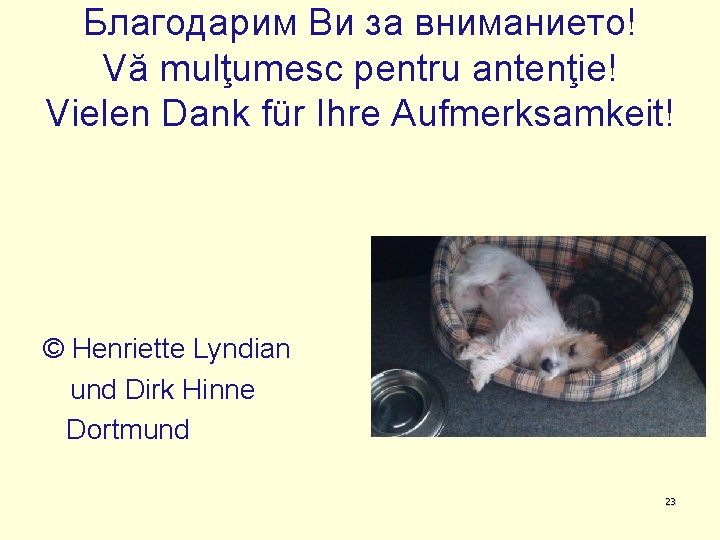 Благодарим Ви за вниманието! Vă mulţumesc pentru antenţie! Vielen Dank für Ihre Aufmerksamkeit! ©
