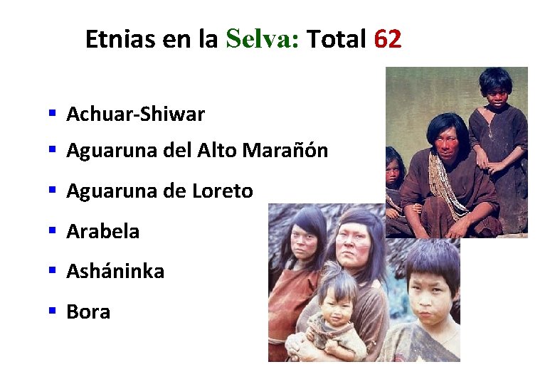 Etnias en la Selva: Total 62 § Achuar-Shiwar § Aguaruna del Alto Marañón § Etnias en la Selva: Total 62 § Achuar-Shiwar § Aguaruna del Alto Marañón §