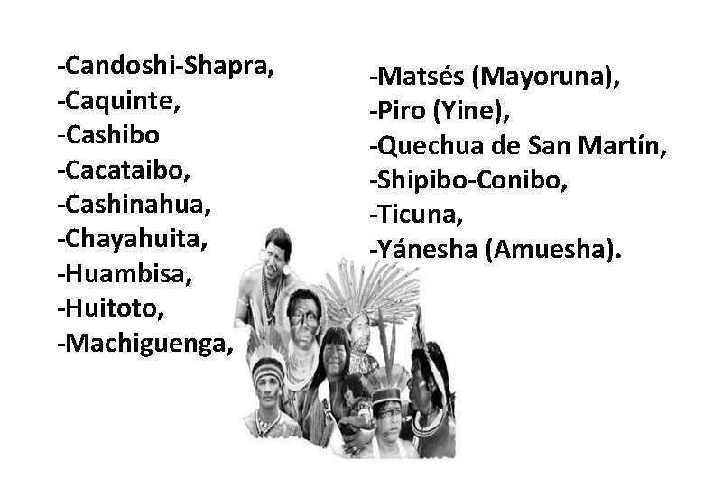-Candoshi-Shapra, -Caquinte, -Cashibo -Cacataibo, -Cashinahua, -Chayahuita, -Huambisa, -Huitoto, -Machiguenga, -Matsés (Mayoruna), -Piro (Yine), -Quechua -Candoshi-Shapra, -Caquinte, -Cashibo -Cacataibo, -Cashinahua, -Chayahuita, -Huambisa, -Huitoto, -Machiguenga, -Matsés (Mayoruna), -Piro (Yine), -Quechua