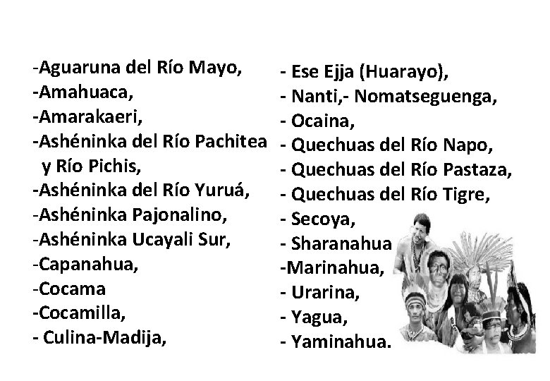 -Aguaruna del Río Mayo, -Amahuaca, -Amarakaeri, -Ashéninka del Río Pachitea y Río Pichis, -Ashéninka -Aguaruna del Río Mayo, -Amahuaca, -Amarakaeri, -Ashéninka del Río Pachitea y Río Pichis, -Ashéninka