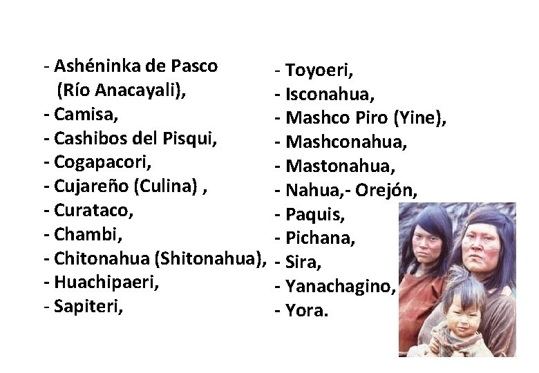 - Ashéninka de Pasco (Río Anacayali), - Camisa, - Cashibos del Pisqui, - Cogapacori, - Ashéninka de Pasco (Río Anacayali), - Camisa, - Cashibos del Pisqui, - Cogapacori,