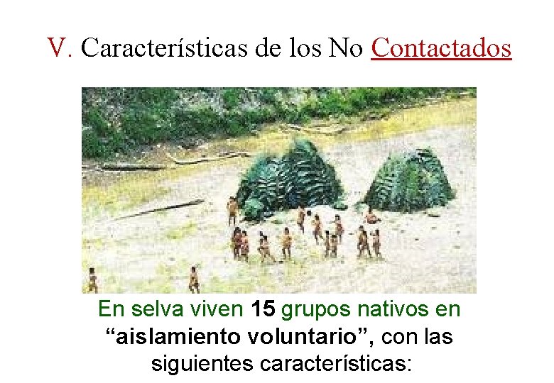 V. Características de los No Contactados En selva viven 15 grupos nativos en “aislamiento V. Características de los No Contactados En selva viven 15 grupos nativos en “aislamiento