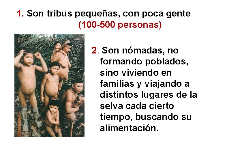 1. Son tribus pequeñas, con poca gente (100 -500 personas) 2. Son nómadas, no 1. Son tribus pequeñas, con poca gente (100 -500 personas) 2. Son nómadas, no