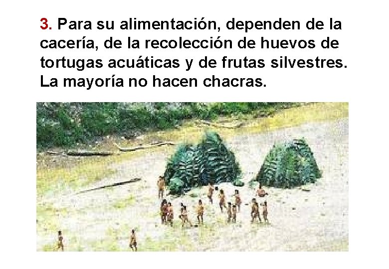 3. Para su alimentación, dependen de la cacería, de la recolección de huevos de 3. Para su alimentación, dependen de la cacería, de la recolección de huevos de