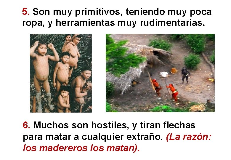 5. Son muy primitivos, teniendo muy poca ropa, y herramientas muy rudimentarias. 6. Muchos 5. Son muy primitivos, teniendo muy poca ropa, y herramientas muy rudimentarias. 6. Muchos