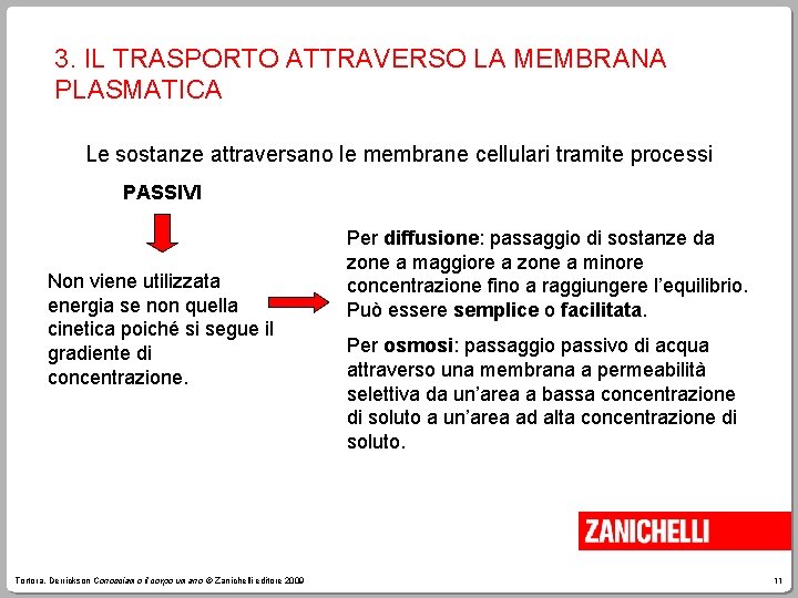 3. IL TRASPORTO ATTRAVERSO LA MEMBRANA PLASMATICA Le sostanze attraversano le membrane cellulari tramite