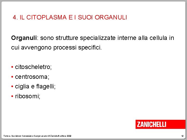 4. IL CITOPLASMA E I SUOI ORGANULI Organuli: sono strutture specializzate interne alla cellula