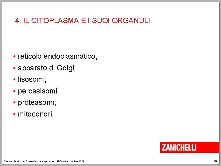 4. IL CITOPLASMA E I SUOI ORGANULI • reticolo endoplasmatico; • apparato di Golgi;