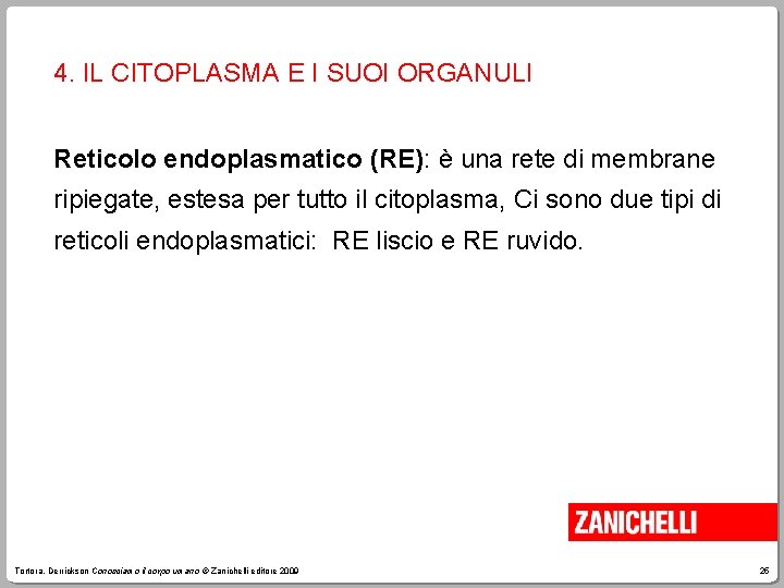 4. IL CITOPLASMA E I SUOI ORGANULI Reticolo endoplasmatico (RE): è una rete di