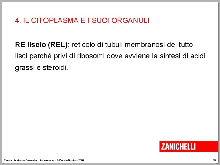 4. IL CITOPLASMA E I SUOI ORGANULI RE liscio (REL): reticolo di tubuli membranosi