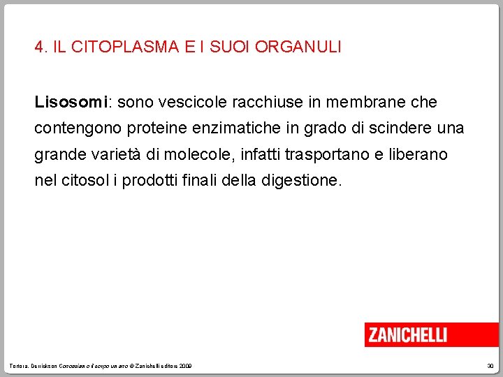 4. IL CITOPLASMA E I SUOI ORGANULI Lisosomi: sono vescicole racchiuse in membrane che