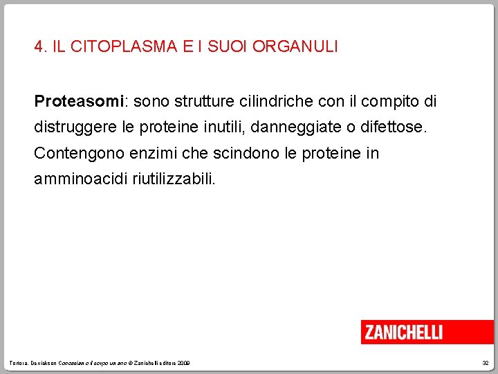 4. IL CITOPLASMA E I SUOI ORGANULI Proteasomi: sono strutture cilindriche con il compito