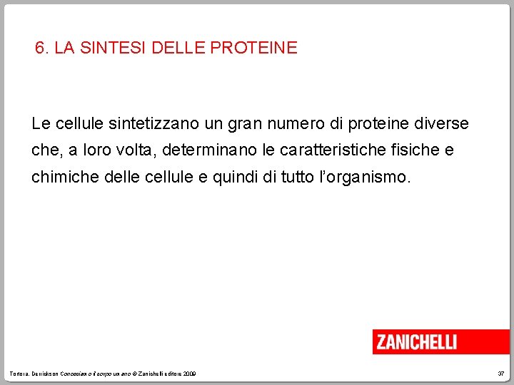 6. LA SINTESI DELLE PROTEINE Le cellule sintetizzano un gran numero di proteine diverse