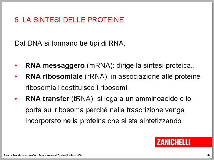 6. LA SINTESI DELLE PROTEINE Dal DNA si formano tre tipi di RNA: •