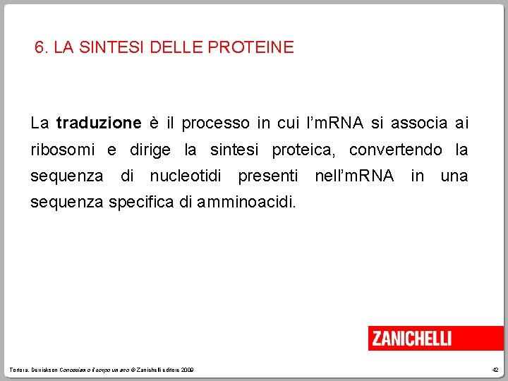 6. LA SINTESI DELLE PROTEINE La traduzione è il processo in cui l’m. RNA