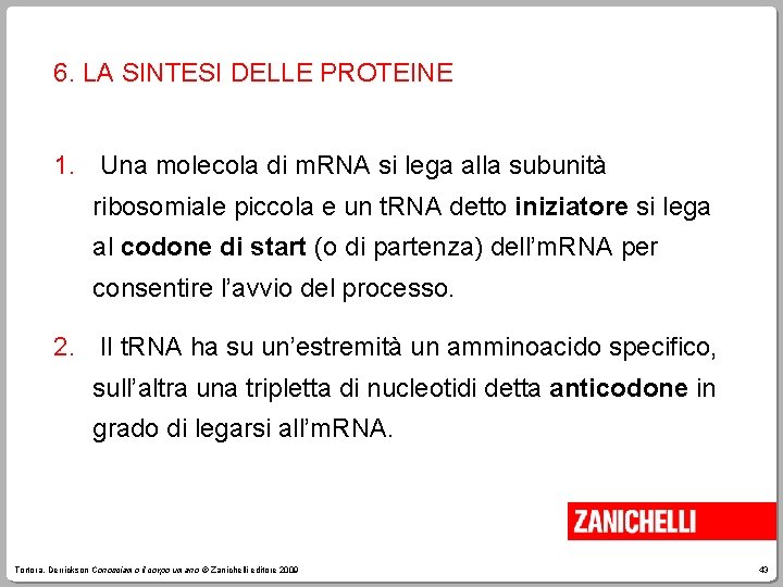 6. LA SINTESI DELLE PROTEINE 1. Una molecola di m. RNA si lega alla