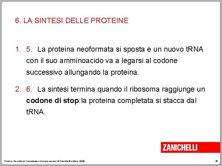 6. LA SINTESI DELLE PROTEINE 1. 5. La proteina neoformata si sposta e un