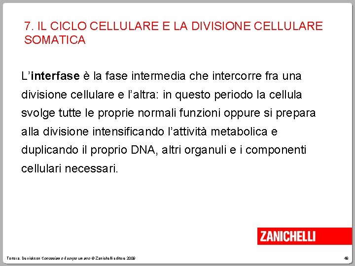 7. IL CICLO CELLULARE E LA DIVISIONE CELLULARE SOMATICA L’interfase è la fase intermedia