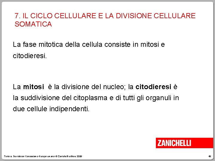 7. IL CICLO CELLULARE E LA DIVISIONE CELLULARE SOMATICA La fase mitotica della cellula