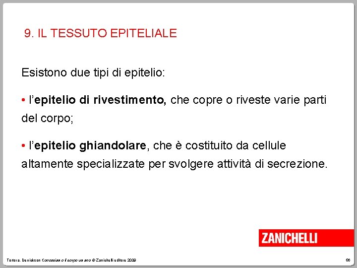 9. IL TESSUTO EPITELIALE Esistono due tipi di epitelio: • l’epitelio di rivestimento, che