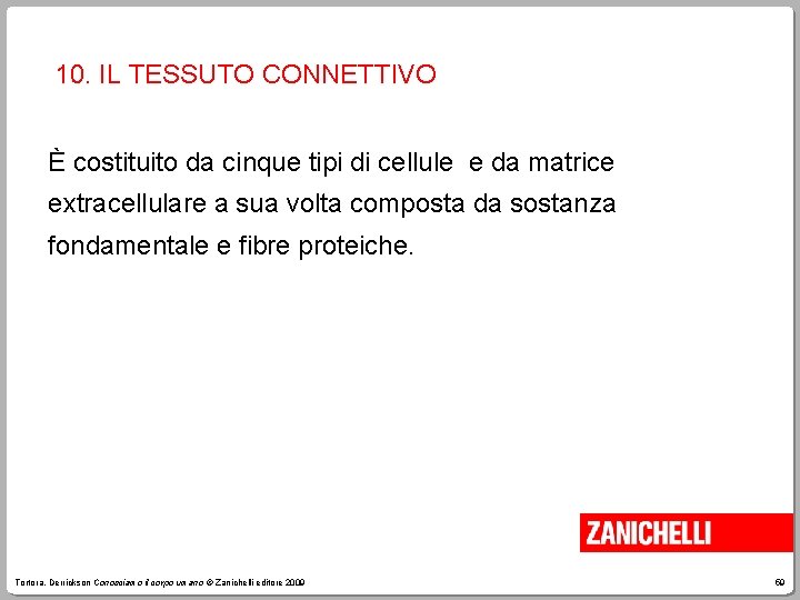 10. IL TESSUTO CONNETTIVO È costituito da cinque tipi di cellule e da matrice