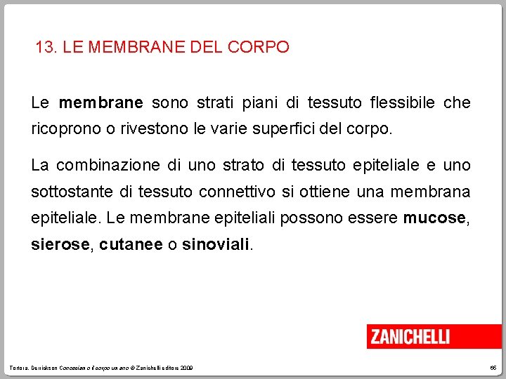 13. LE MEMBRANE DEL CORPO Le membrane sono strati piani di tessuto flessibile che