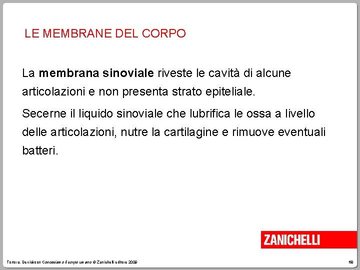 LE MEMBRANE DEL CORPO La membrana sinoviale riveste le cavità di alcune articolazioni e