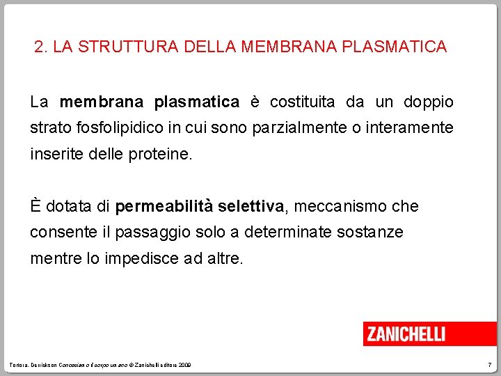 2. LA STRUTTURA DELLA MEMBRANA PLASMATICA La membrana plasmatica è costituita da un doppio