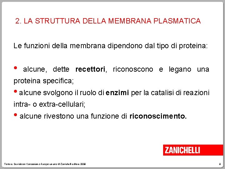 2. LA STRUTTURA DELLA MEMBRANA PLASMATICA Le funzioni della membrana dipendono dal tipo di