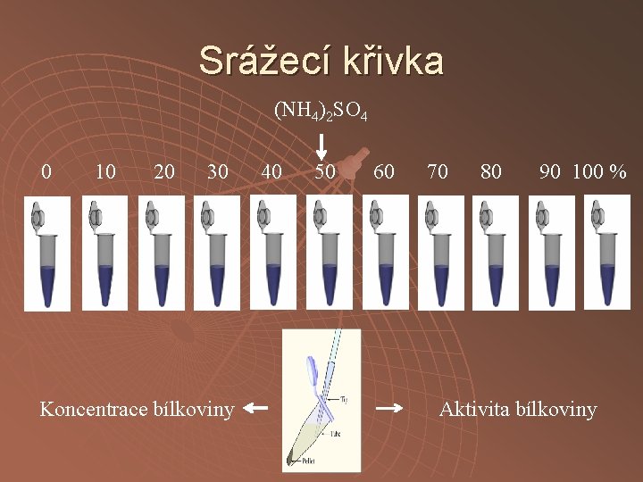 Srážecí křivka (NH 4)2 SO 4 0 10 20 30 Koncentrace bílkoviny 40 50