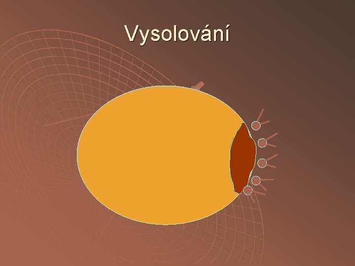 Vysolování 